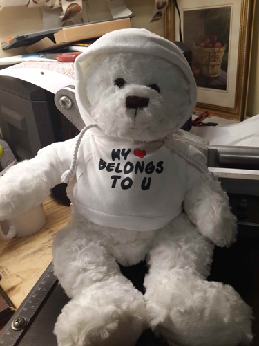 stuffed Teddy made with sublimation printing