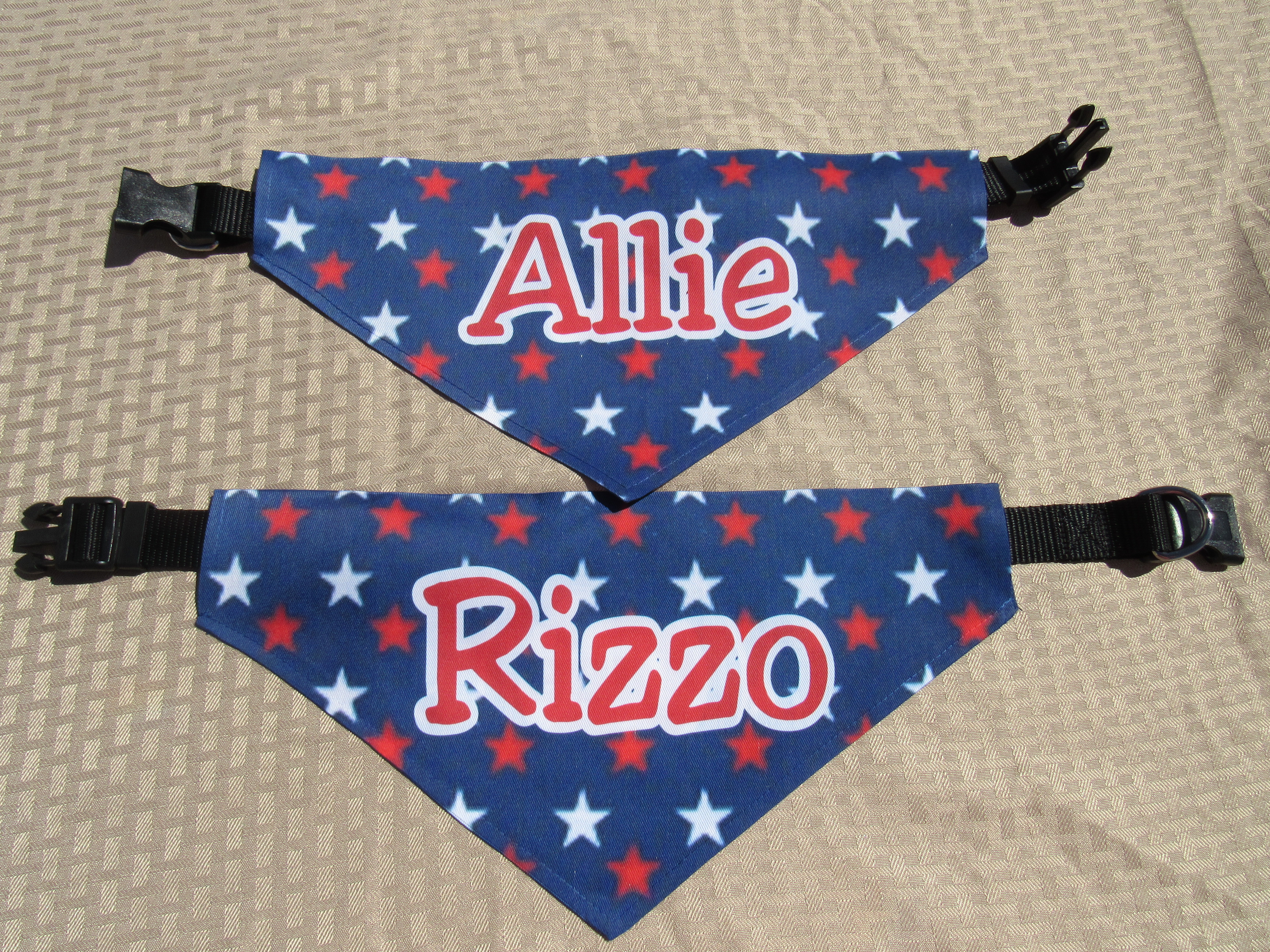 Allie & Rizzo made with sublimation printing