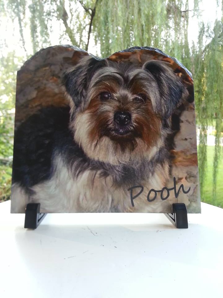 Pet Themed Contest Entry made with sublimation printing