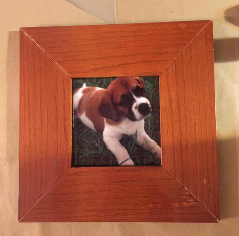Puppy tile print. made with sublimation printing