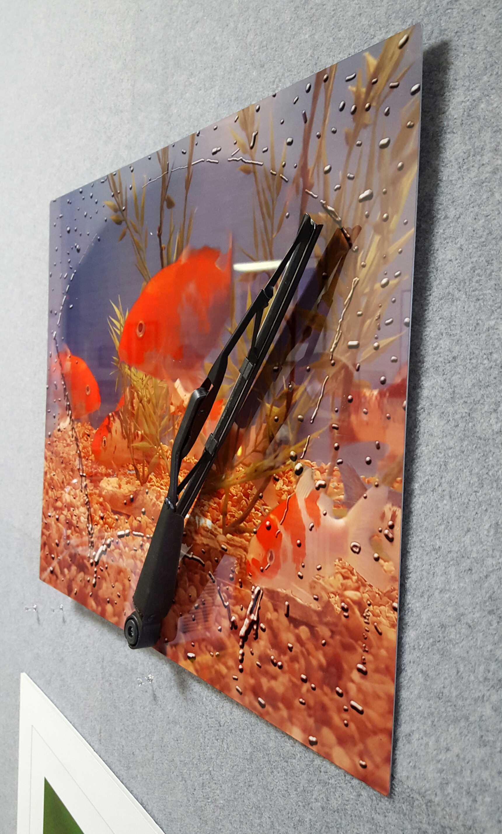 3D art panel fish like clean glass too. made with sublimation printing