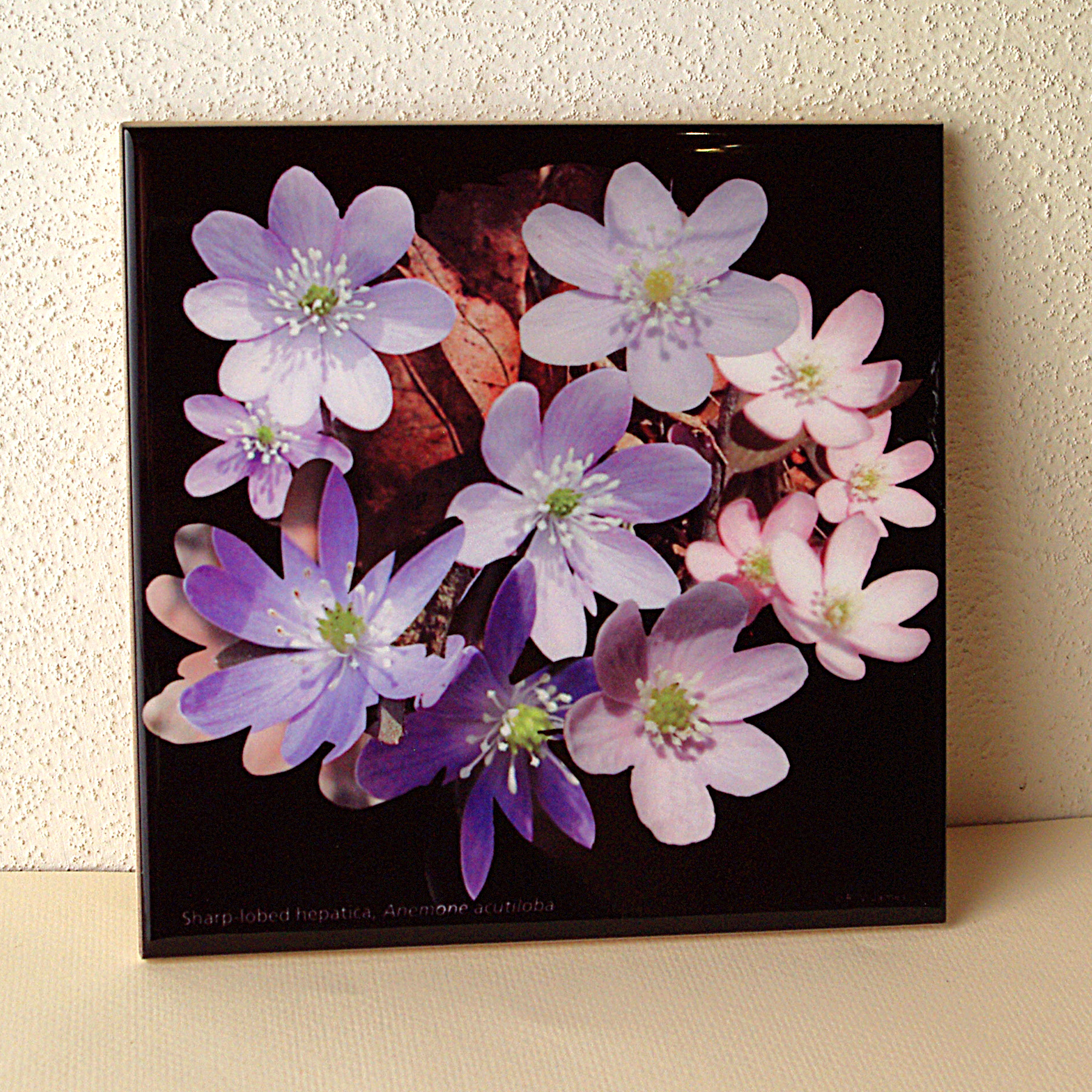 Tiles with flower power made with sublimation printing