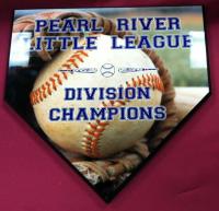 A homeplate shaped Division Champion plaque for the local little league.